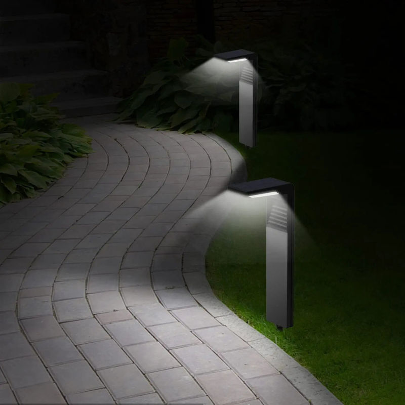 IP65 Wasserdichtes Solarlicht für Außenbeleuchtung und schöne Dekoration